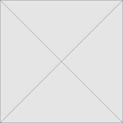 Description of the image